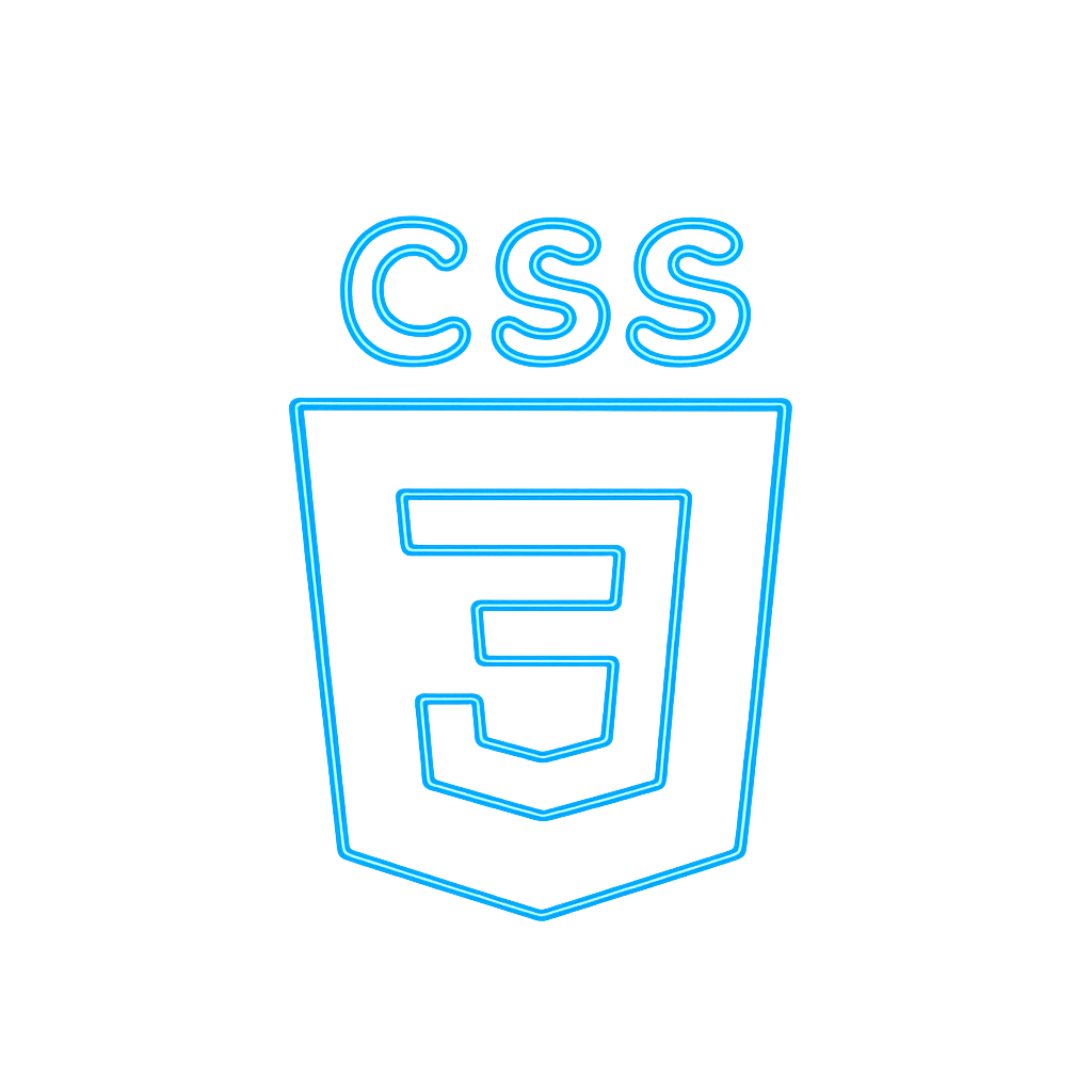 CSS Logo